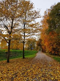 Footpath amidst trees in park during autumn