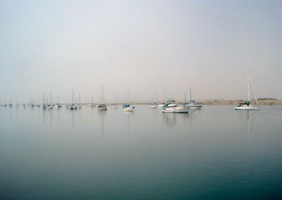 Sailboats moored in sea against clear sky