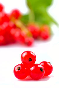 Close-up of red berries over white background