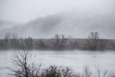 Scenic view of lake against sky during winter