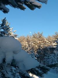 Scenic view of snow covered landscape against clear sky