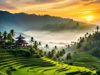 Scenic view of field against sky during sunset
