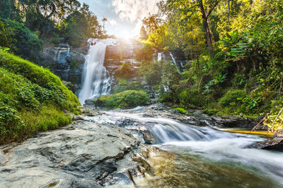 View of waterfall along trees