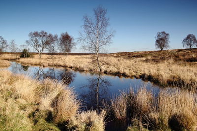 River amidst grassy field against sky