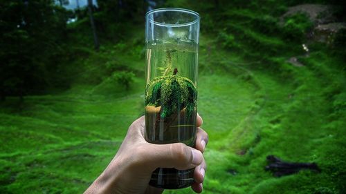 Person holding decorative glass