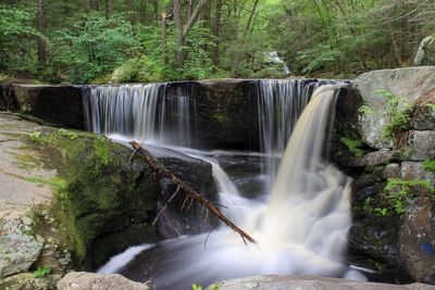 Scenic view of waterfall in forest