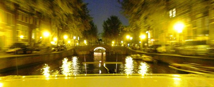 Reflection of trees in water