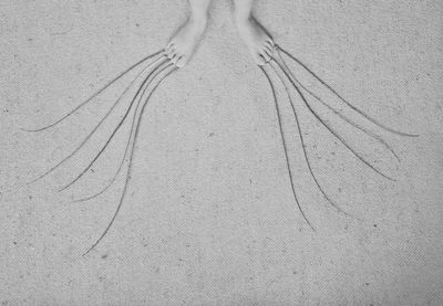 Low section of woman standing on beach