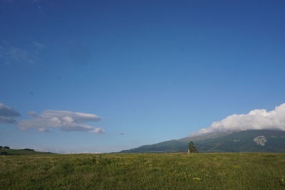 Scenic view of field against sky