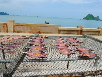 View of fish on beach against sky