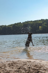 Man splashing water on beach against clear sky