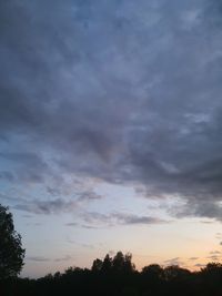 Low angle view of silhouette trees against sky during sunset