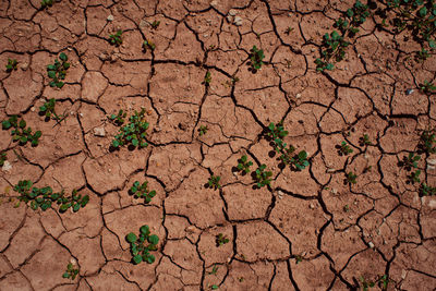 Full frame shot of cracked land