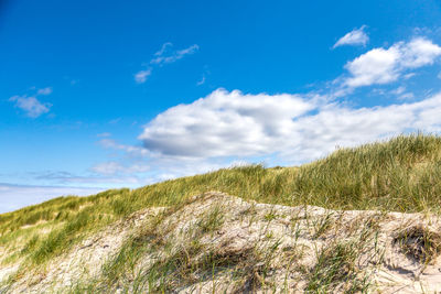 Scenic view of landscape against blue sky