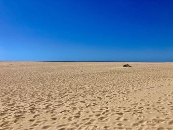 Scenic view of desert against clear blue sky