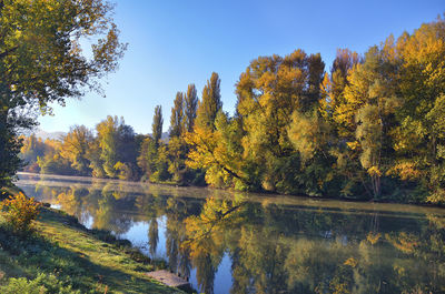 Reflection of trees on lake during autumn