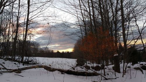 Scenic view of snow covered landscape