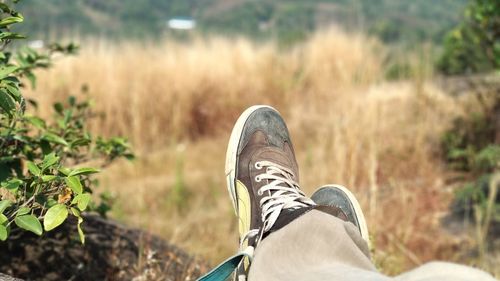 Low section of man sitting on grassy field