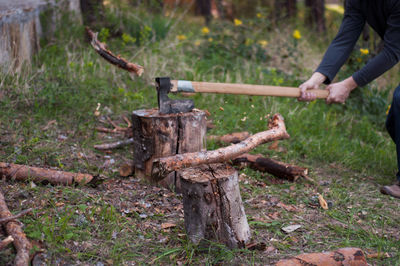 Close-up of hand holding wood