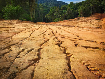 Scenic view of land