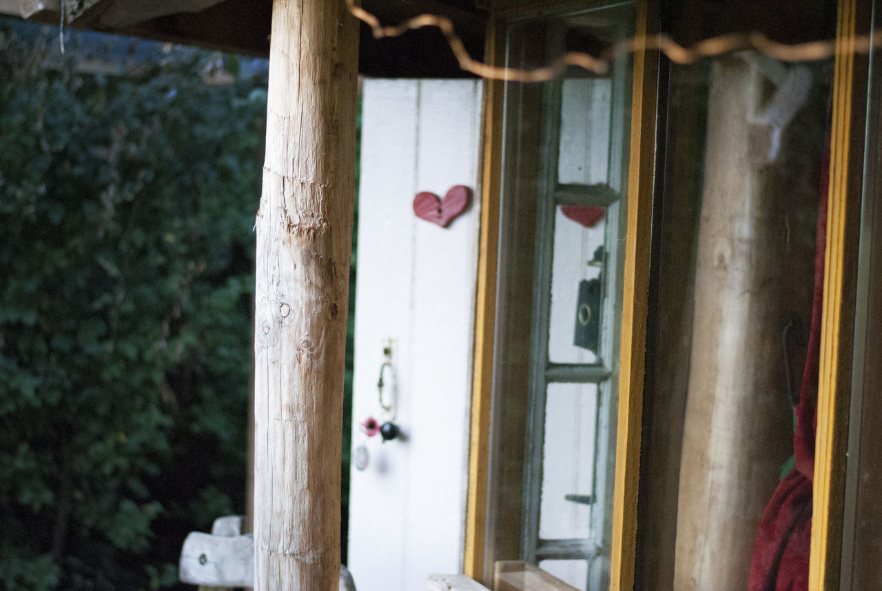 window, glass - material, architecture, day, no people, focus on foreground, indoors, door, built structure, transparent, entrance, wood - material, hanging, building, tree, close-up, reflection, house