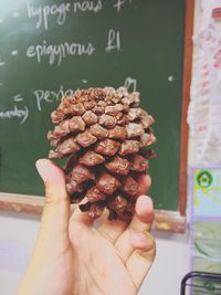 Cropped hand of woman holding pine cone