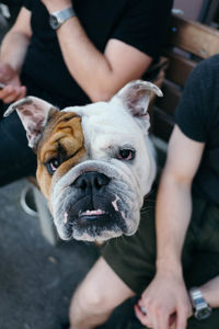 Midsection of person holding dog