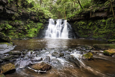 Scenic view of waterfall in forest