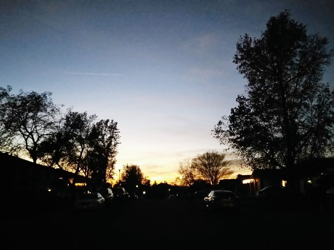 SILHOUETTE TREES ON ROAD AGAINST SKY AT NIGHT