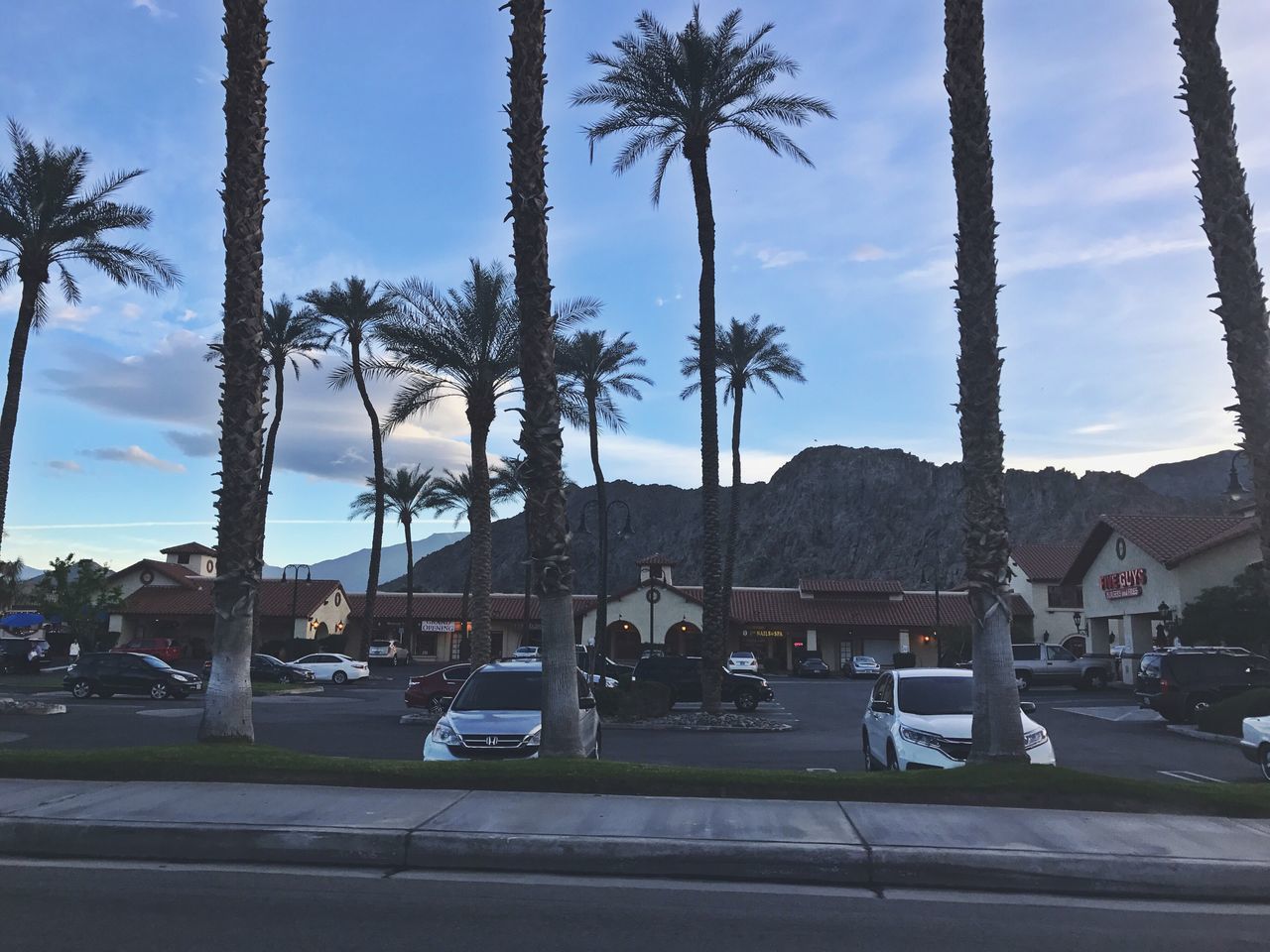 transportation, mode of transport, land vehicle, car, tree, sky, palm tree, day, road, outdoors, no people