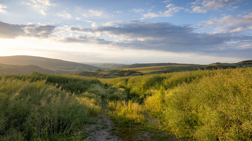 environment