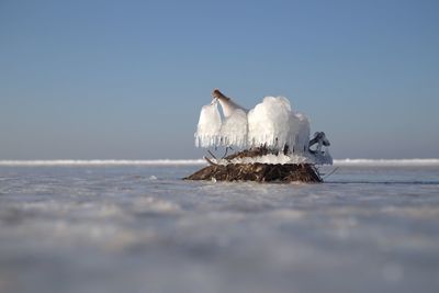 View of birds on the sea against sky