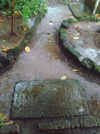 Rocks in water