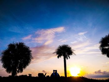 Silhouette palm trees against sky during sunset