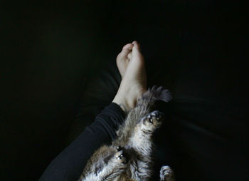 Low section of person lying on cat against black background