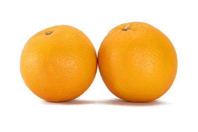 Close-up of orange fruit against white background