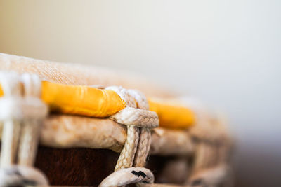 Close-up of rope tied on wood