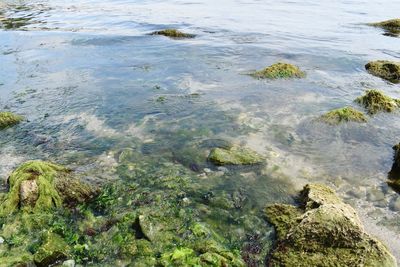 High angle view of rocks in sea