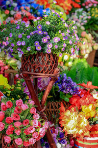 Close-up of multi colored flowers