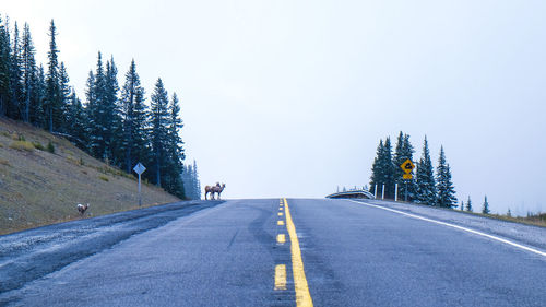 View of road against clear sky