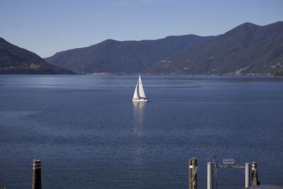 Sailboat in sea against clear sky