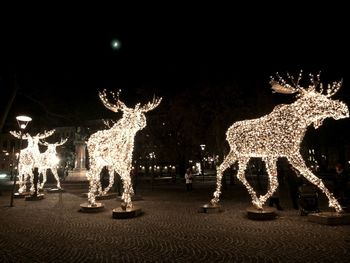 Illuminated lights at night