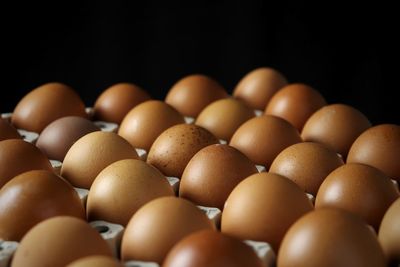 Close-up of eggs against black background