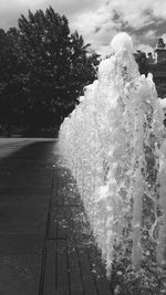 Close-up of trees against sky