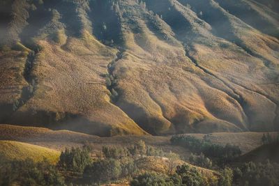 High angle view of land