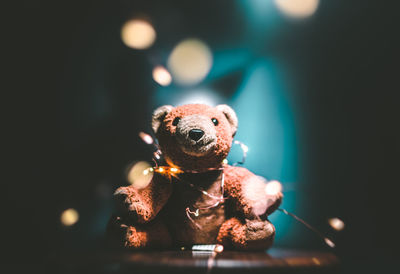 Close-up of teddy bear at night