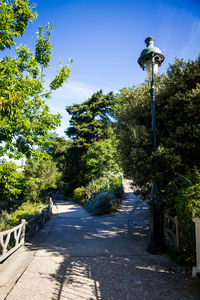 Empty road along plants and trees against sky