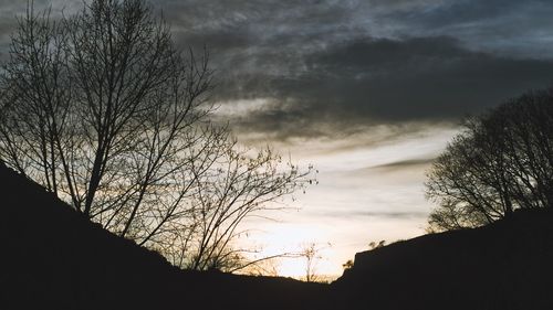 Low angle view of silhouette trees against sky at sunset