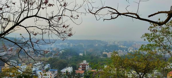 Trees and buildings against sky