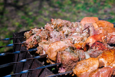 Meat is fried on coals. camping, barbecue on the grill. selective focus. fried meat on charcoal bbq